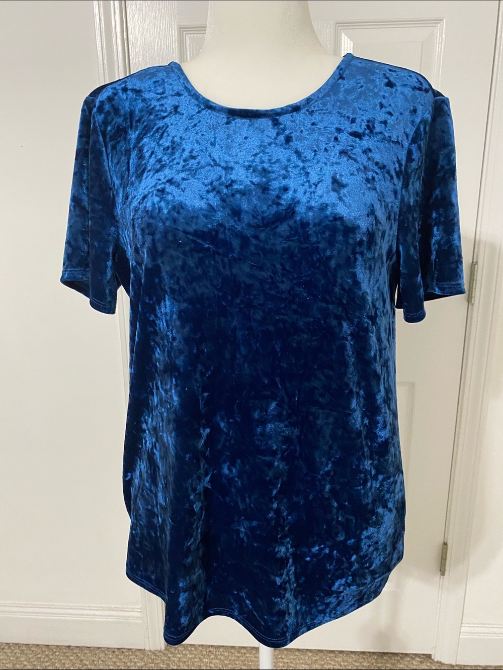 Women’s Crushed Velvet Short Sleeve Top - Blue